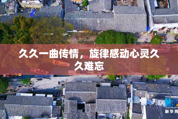久久一曲传情，旋律感动心灵久久难忘