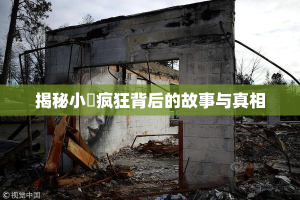 揭秘小泬疯狂背后的故事与真相