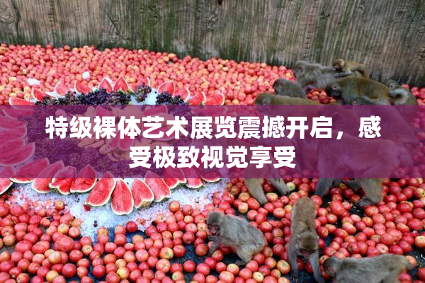 特级裸体艺术展览震撼开启，感受极致视觉享受