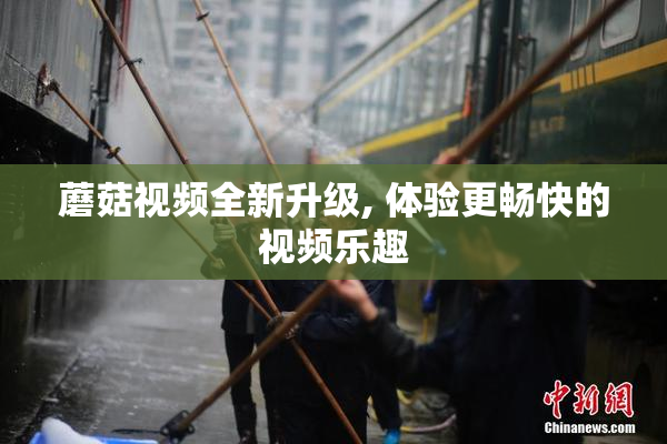 蘑菇视频全新升级, 体验更畅快的视频乐趣