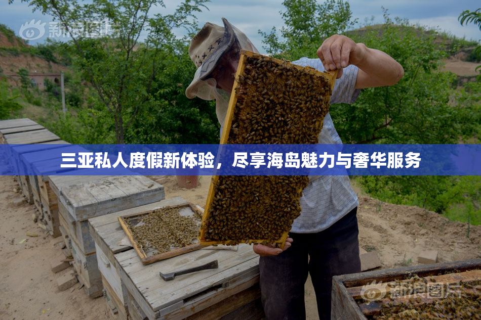 三亚私人度假新体验，尽享海岛魅力与奢华服务