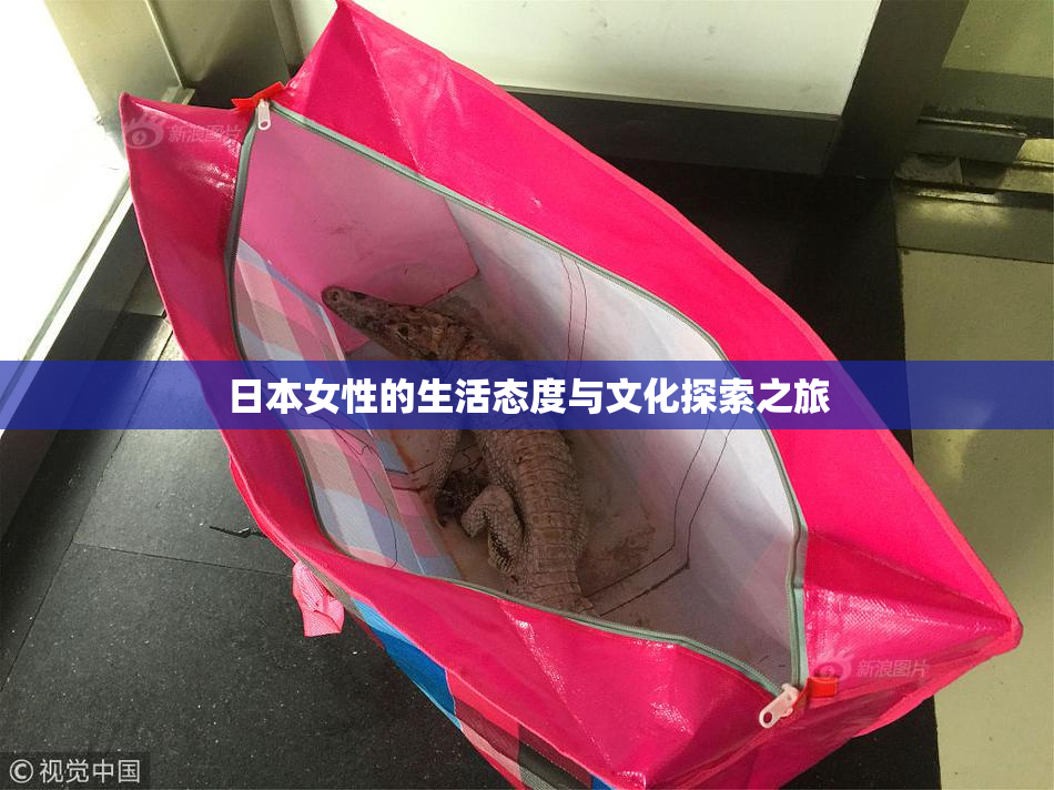 日本女性的生活态度与文化探索之旅