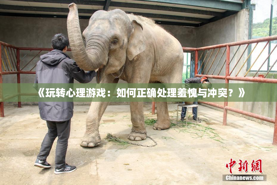 《玩转心理游戏：如何正确处理羞愧与冲突？》