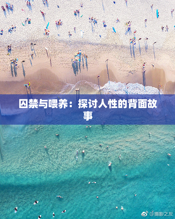 囚禁与喂养：探讨人性的背面故事