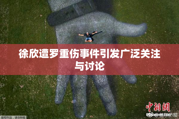 徐欣遭罗重伤事件引发广泛关注与讨论