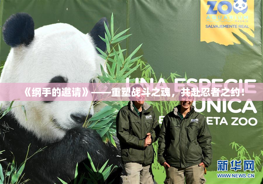 《纲手的邀请》——重塑战斗之魂，共赴忍者之约！
