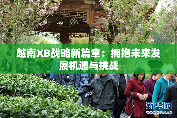 越南XB战略新篇章：拥抱未来发展机遇与挑战