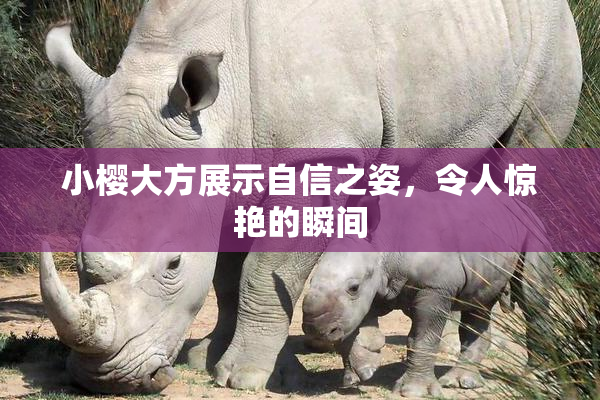 小樱大方展示自信之姿，令人惊艳的瞬间
