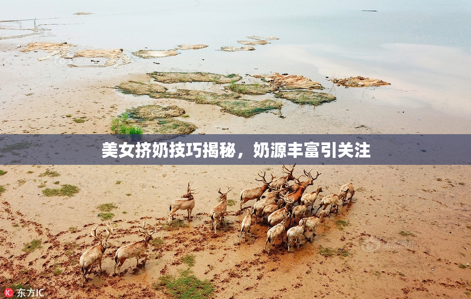 美女挤奶技巧揭秘，奶源丰富引关注