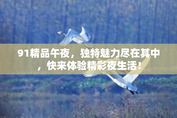 91精品午夜，独特魅力尽在其中，快来体验精彩夜生活！