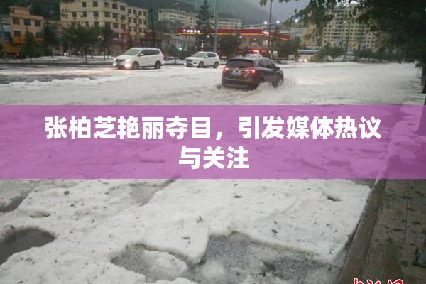 张柏芝艳丽夺目，引发媒体热议与关注