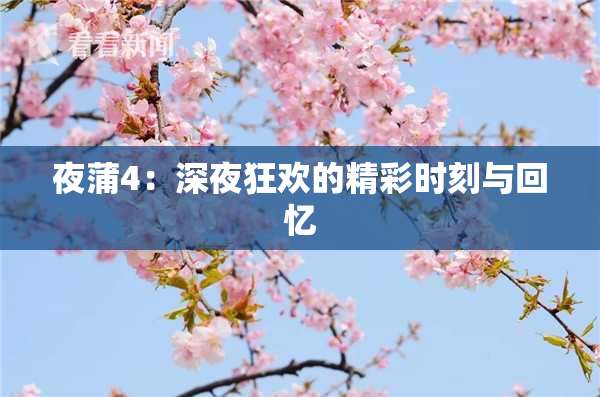 夜蒲4：深夜狂欢的精彩时刻与回忆