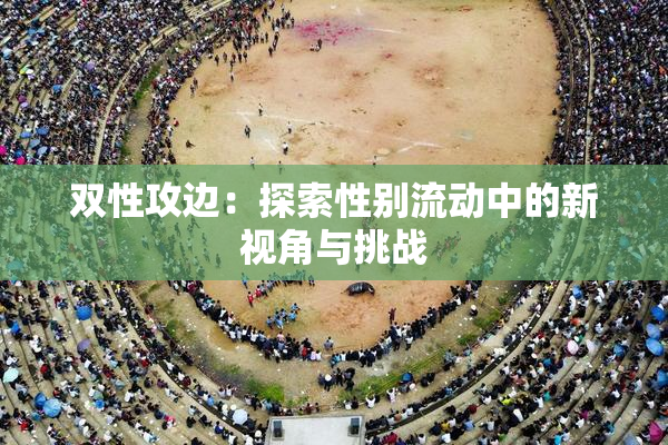 双性攻边：探索性别流动中的新视角与挑战