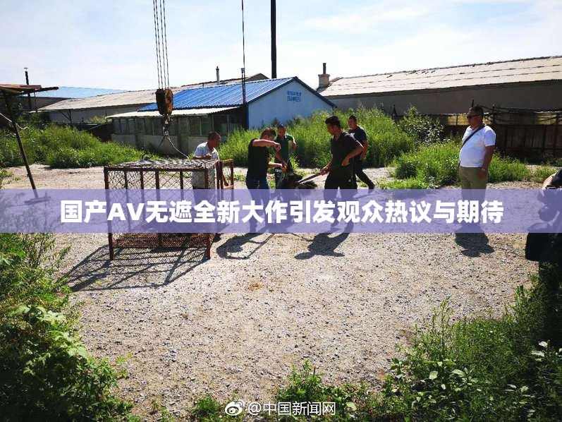 国产AV无遮全新大作引发观众热议与期待