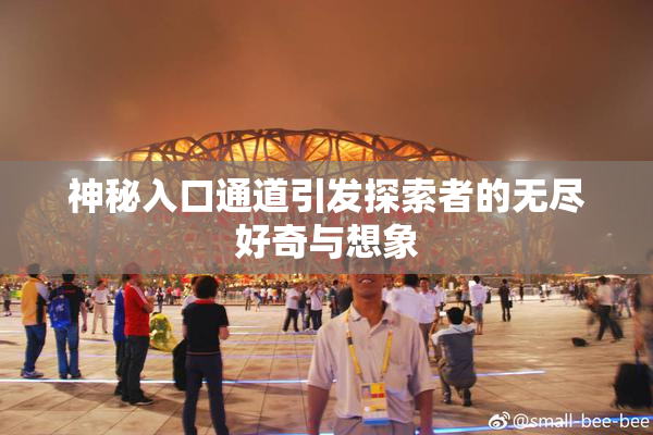 神秘入口通道引发探索者的无尽好奇与想象