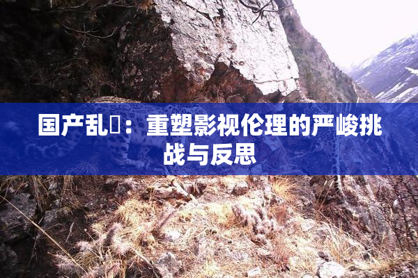 国产乱婬：重塑影视伦理的严峻挑战与反思