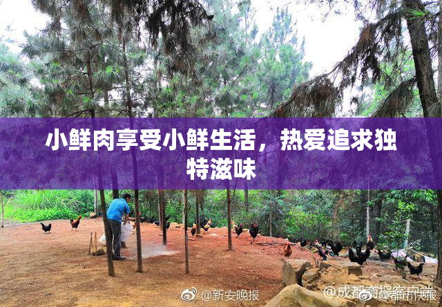 小鲜肉享受小鲜生活，热爱追求独特滋味