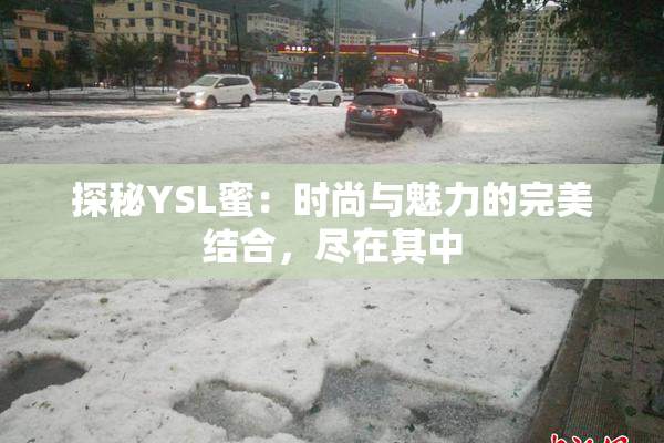探秘YSL蜜：时尚与魅力的完美结合，尽在其中