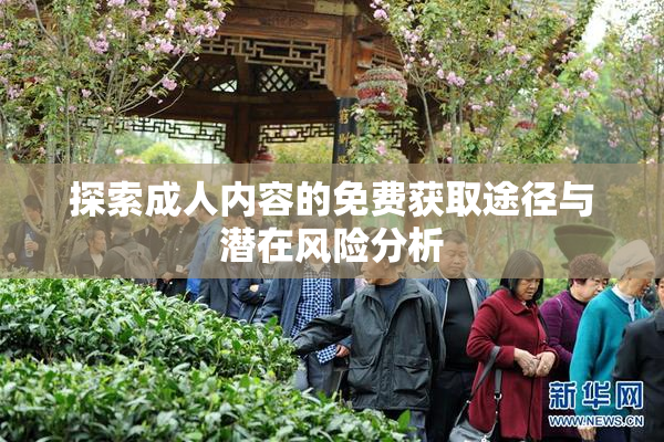 探索成人内容的免费获取途径与潜在风险分析