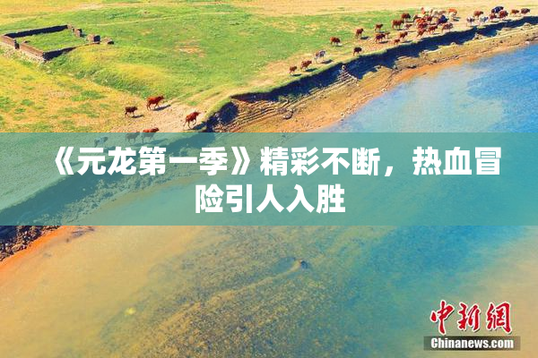 《元龙第一季》精彩不断，热血冒险引人入胜