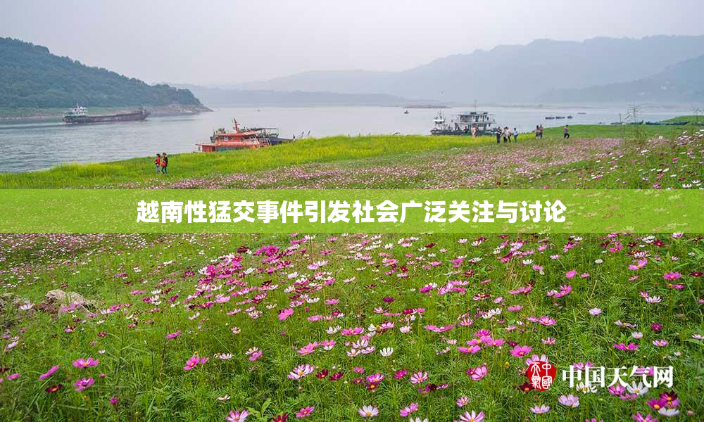 越南性猛交事件引发社会广泛关注与讨论