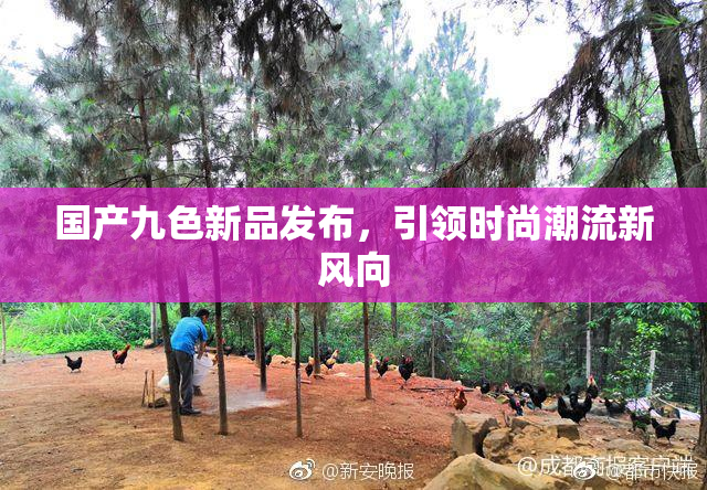 国产九色新品发布，引领时尚潮流新风向