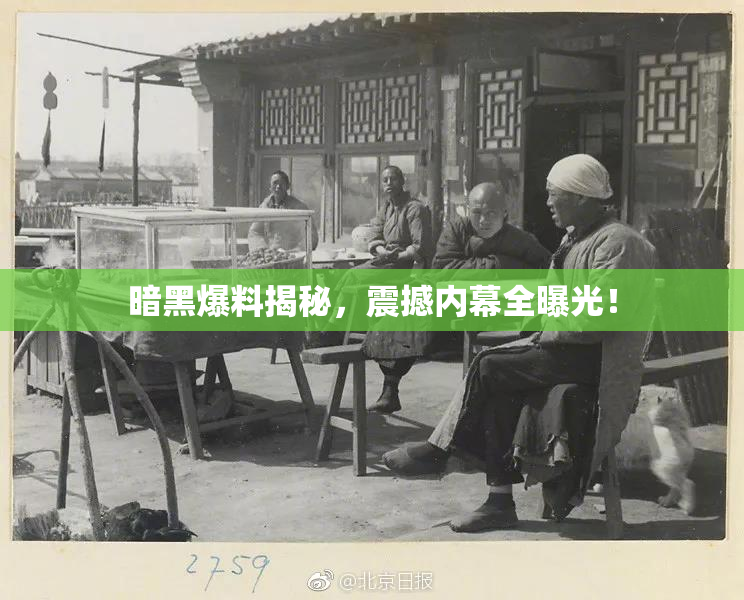 暗黑爆料揭秘，震撼内幕全曝光！