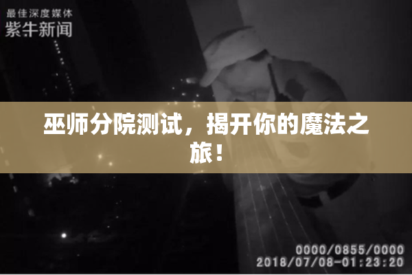 巫师分院测试，揭开你的魔法之旅！