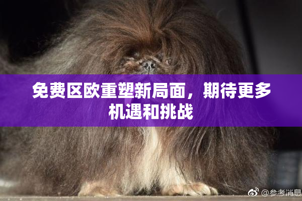 免费区欧重塑新局面，期待更多机遇和挑战
