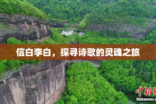 信白李白，探寻诗歌的灵魂之旅