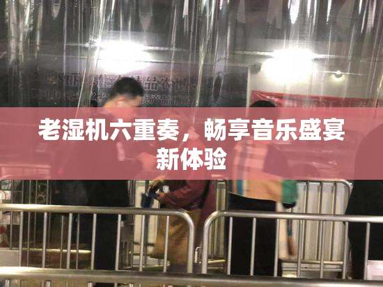 老湿机六重奏，畅享音乐盛宴新体验