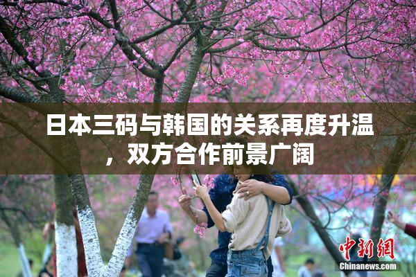 日本三码与韩国的关系再度升温，双方合作前景广阔