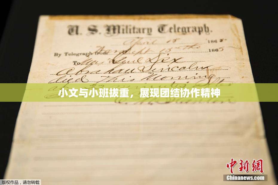 小文与小班拔重，展现团结协作精神