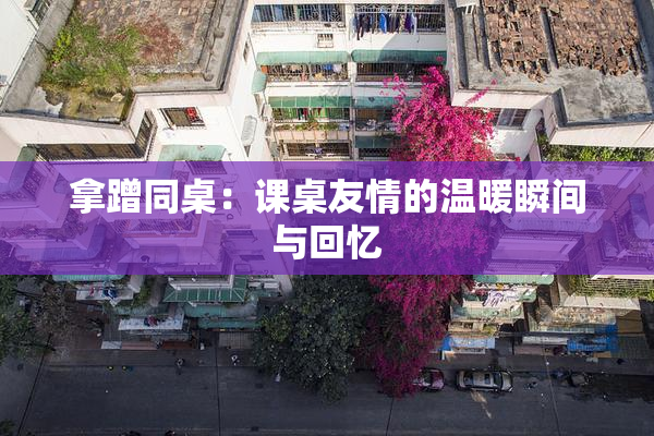 拿蹭同桌：课桌友情的温暖瞬间与回忆