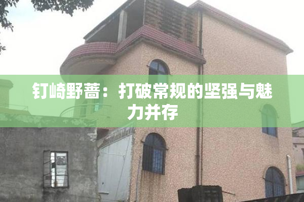 钉崎野蔷：打破常规的坚强与魅力并存