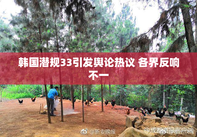 韩国潜规33引发舆论热议 各界反响不一