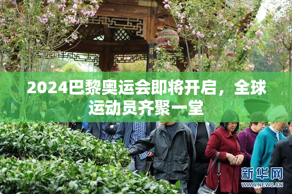 2024巴黎奥运会即将开启，全球运动员齐聚一堂