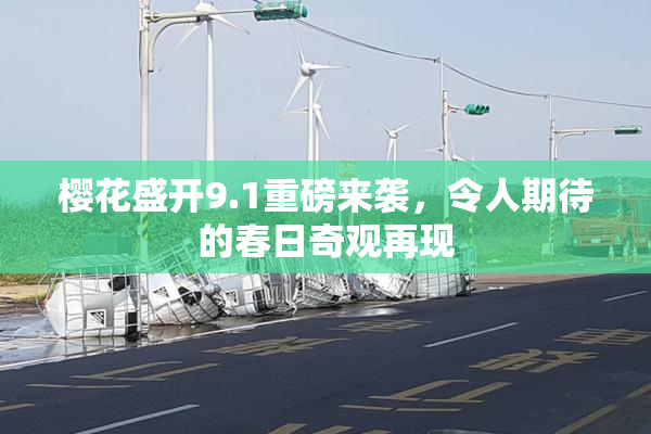樱花盛开9.1重磅来袭，令人期待的春日奇观再现