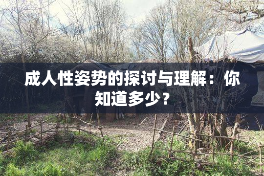 成人性姿势的探讨与理解：你知道多少？