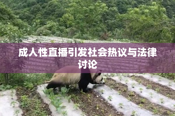 成人性直播引发社会热议与法律讨论
