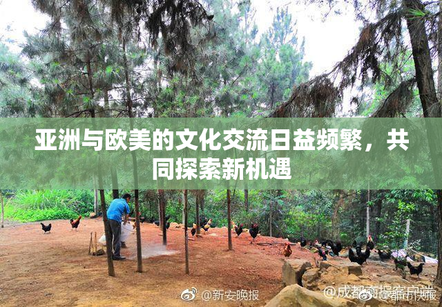 亚洲与欧美的文化交流日益频繁，共同探索新机遇