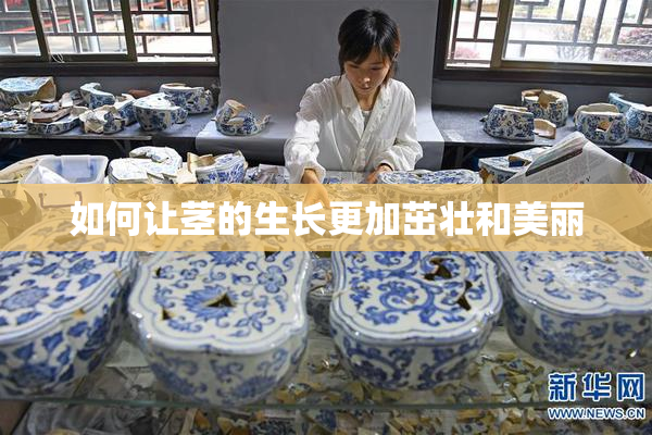 如何让茎的生长更加茁壮和美丽