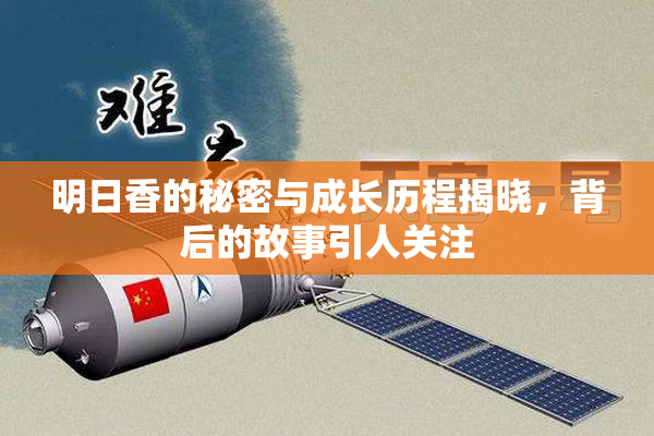 明日香的秘密与成长历程揭晓，背后的故事引人关注