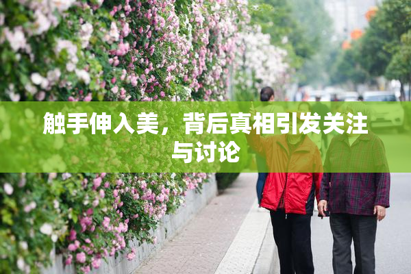触手伸入美，背后真相引发关注与讨论