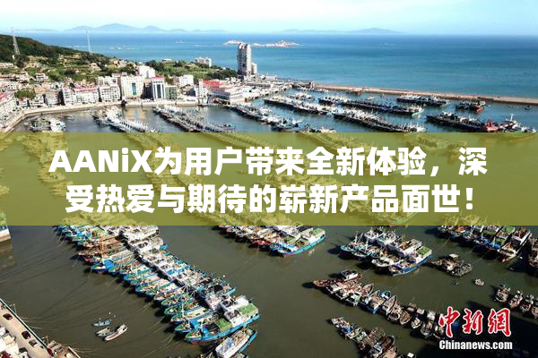 AANiX为用户带来全新体验，深受热爱与期待的崭新产品面世！