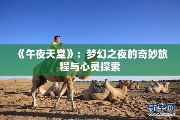 《午夜天堂》：梦幻之夜的奇妙旅程与心灵探索