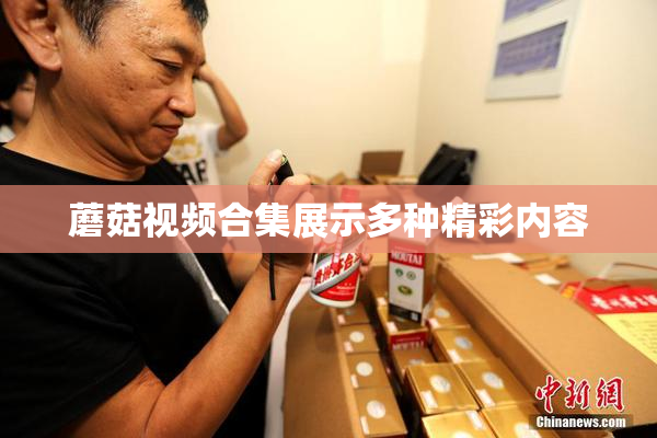 蘑菇视频合集展示多种精彩内容