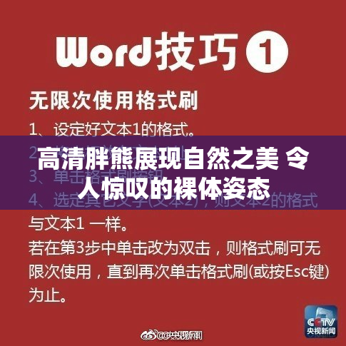 高清胖熊展现自然之美 令人惊叹的裸体姿态