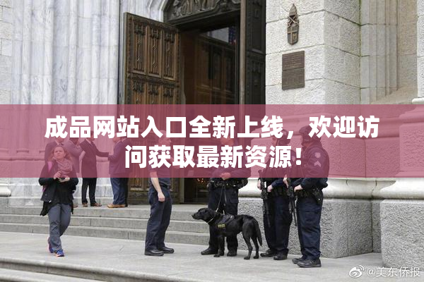 成品网站入口全新上线，欢迎访问获取最新资源！