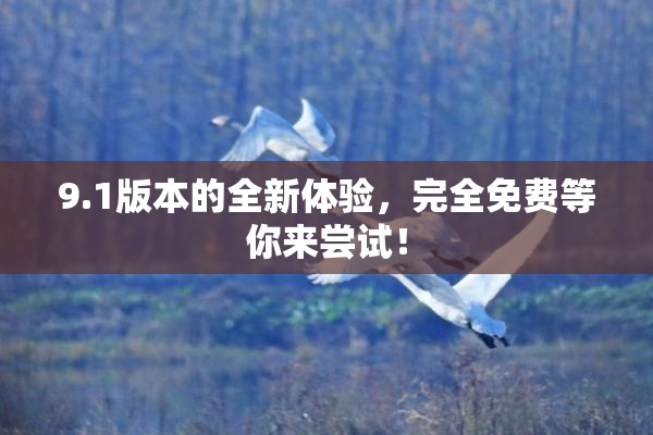 9.1版本的全新体验，完全免费等你来尝试！